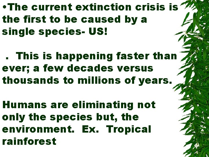  • The current extinction crisis is the first to be caused by a