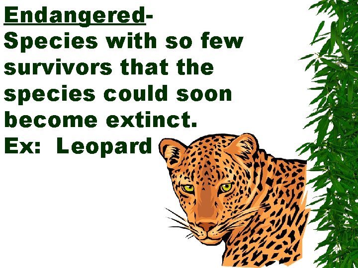 Endangered. Species with so few survivors that the species could soon become extinct. Ex:
