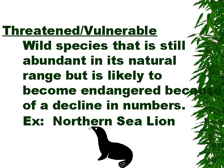 Threatened/Vulnerable Wild species that is still abundant in its natural range but is likely