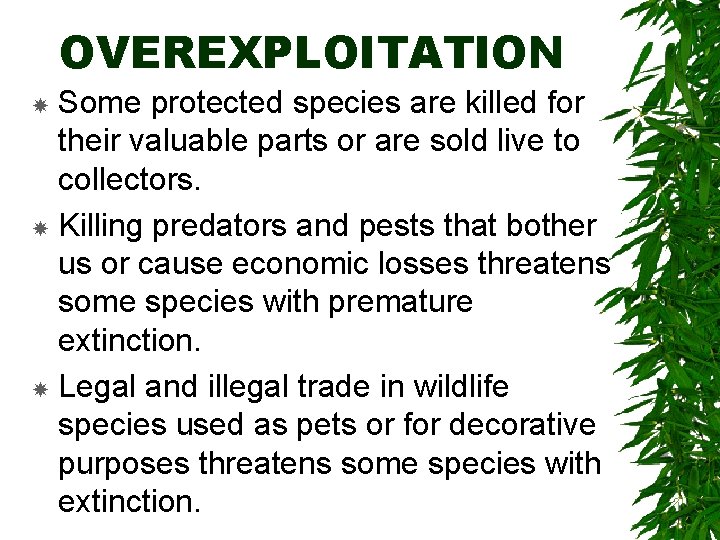 OVEREXPLOITATION Some protected species are killed for their valuable parts or are sold live