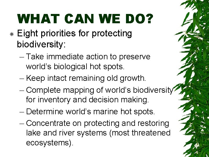 WHAT CAN WE DO? Eight priorities for protecting biodiversity: – Take immediate action to