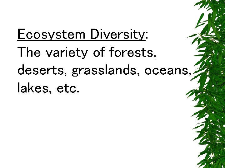 Ecosystem Diversity: The variety of forests, deserts, grasslands, oceans, lakes, etc. 