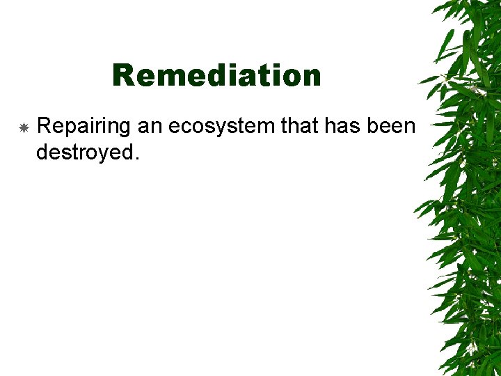 Remediation Repairing an ecosystem that has been destroyed. 
