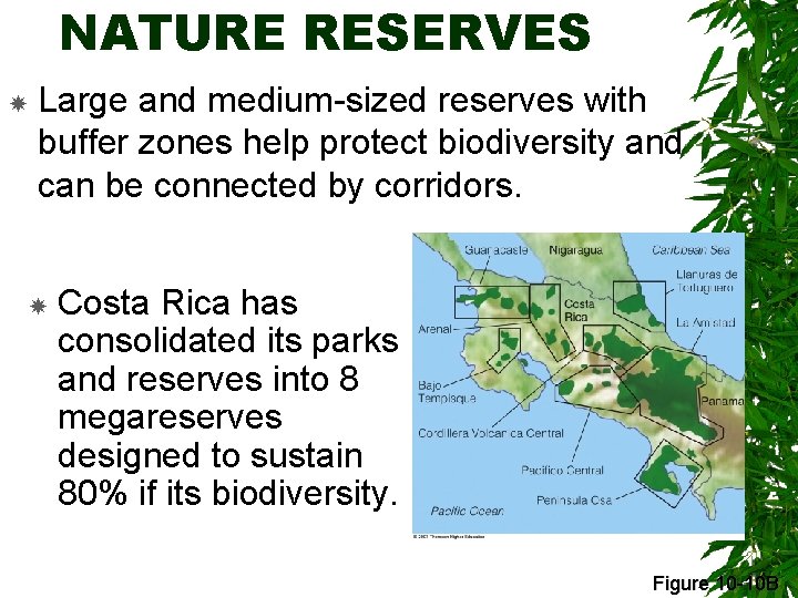 NATURE RESERVES Large and medium-sized reserves with buffer zones help protect biodiversity and can