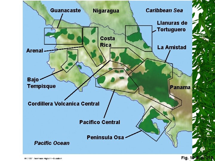 Guanacaste Nigaragua Caribbean Sea Llanuras de Tortuguero Costa Rica Arenal Bajo Tempisque La Amistad