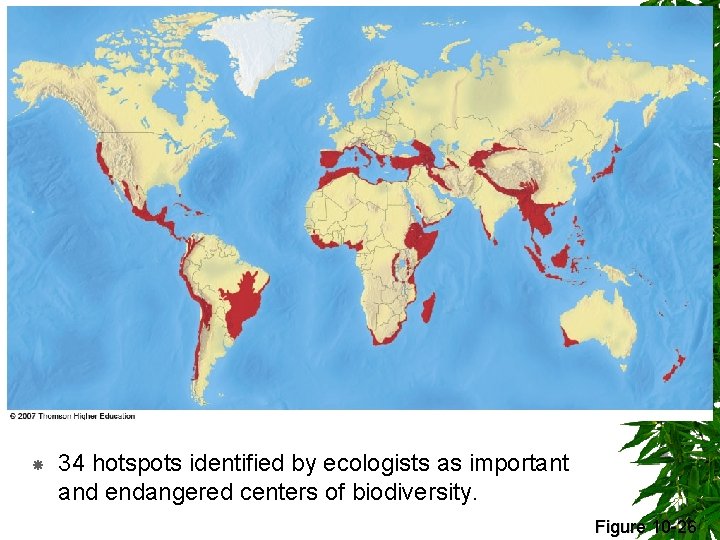  34 hotspots identified by ecologists as important and endangered centers of biodiversity. Figure