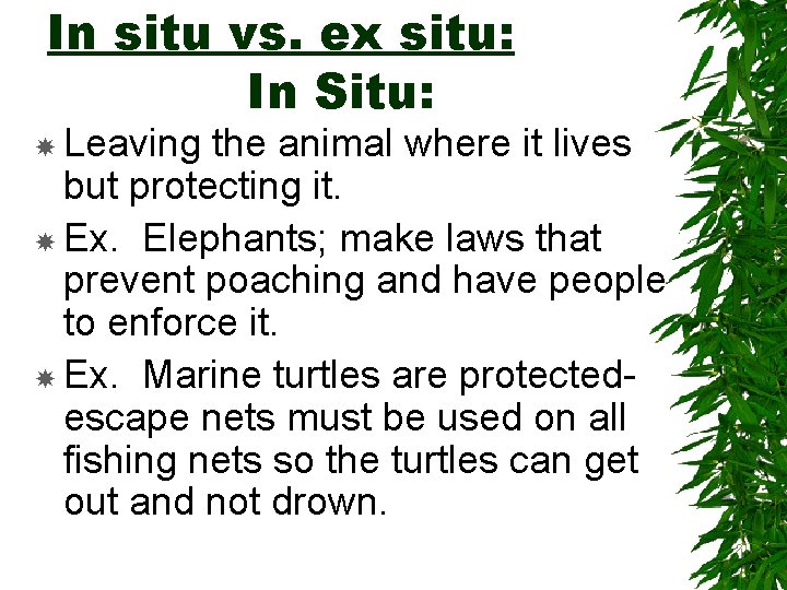 In situ vs. ex situ: In Situ: Leaving the animal where it lives but