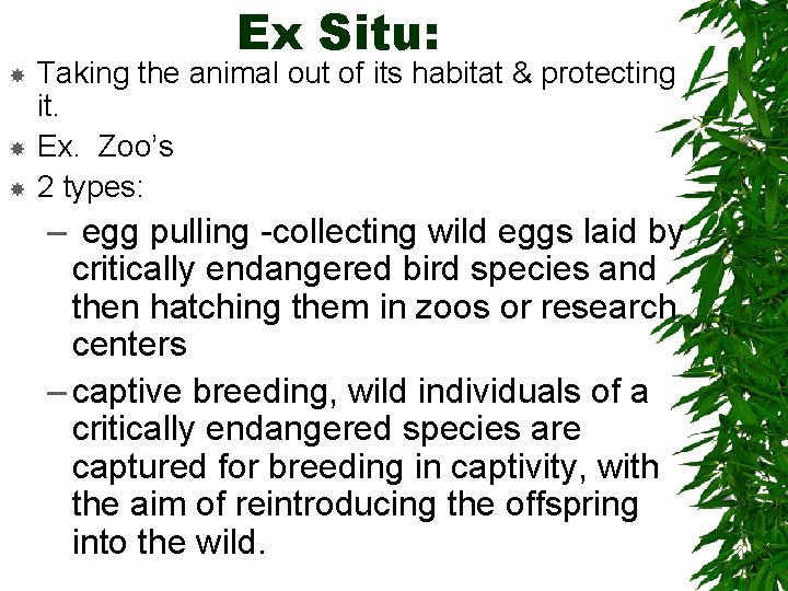 Ex Situ: Taking the animal out of its habitat & protecting it. Ex. Zoo’s