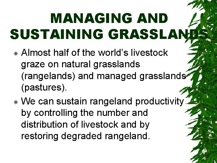 MANAGING AND SUSTAINING GRASSLANDS Almost half of the world’s livestock graze on natural grasslands