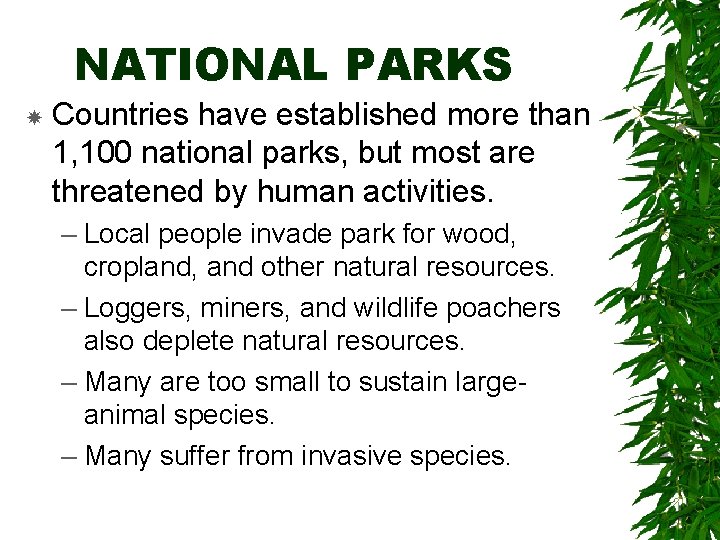 NATIONAL PARKS Countries have established more than 1, 100 national parks, but most are