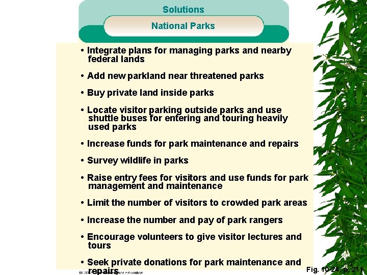 Solutions National Parks • Integrate plans for managing parks and nearby federal lands •