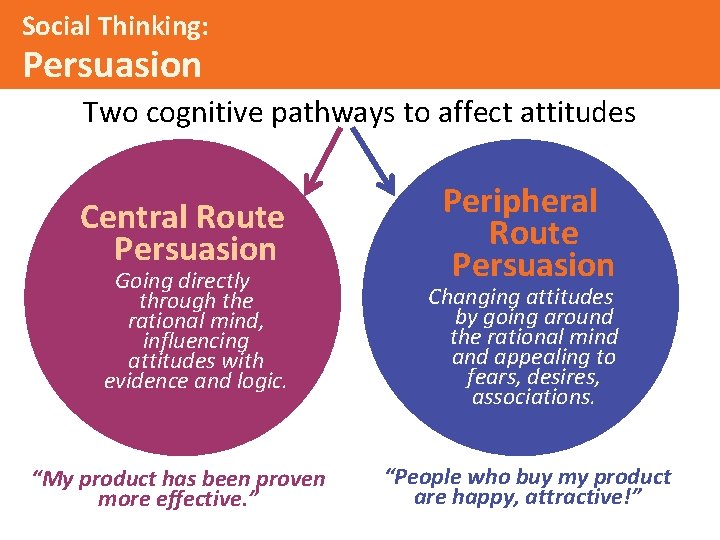 Social Thinking: Persuasion Two cognitive pathways to affect attitudes Central Route Persuasion Going directly