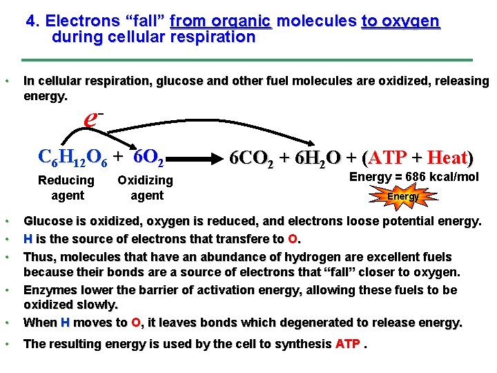 4. Electrons “fall” from organic molecules to oxygen during cellular respiration • In cellular