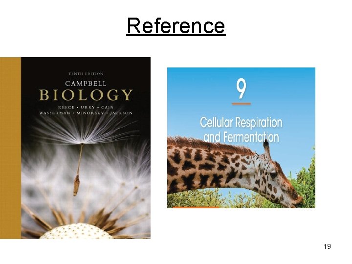 Reference 19 