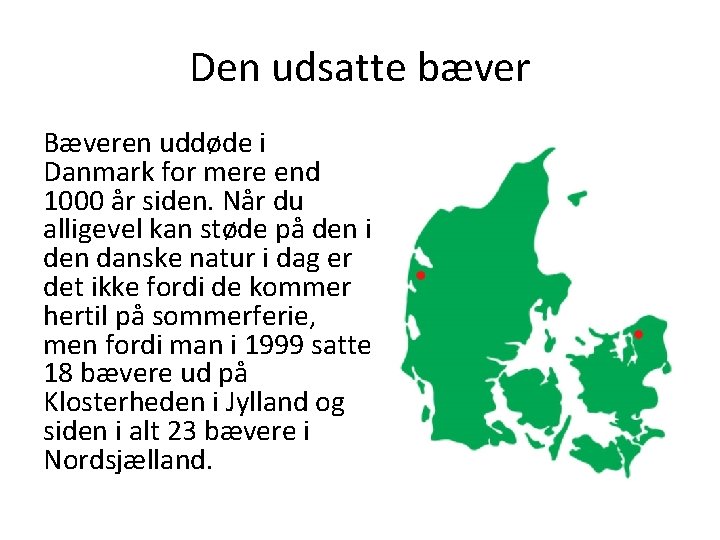 Den udsatte bæver Bæveren uddøde i Danmark for mere end 1000 år siden. Når