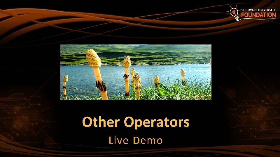Other Operators Live Demo Other Operators Live Demo