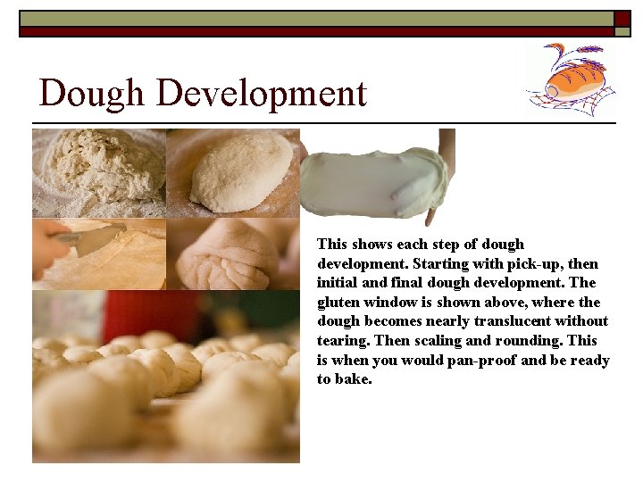Dough Development This shows each step of dough development. Starting with pick-up, then initial