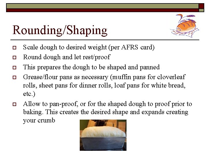 Rounding/Shaping o o o Scale dough to desired weight (per AFRS card) Round dough