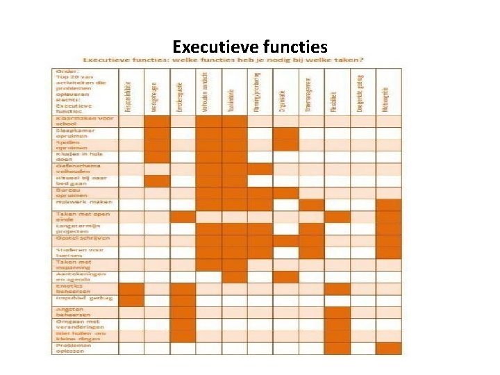 Executieve functies 