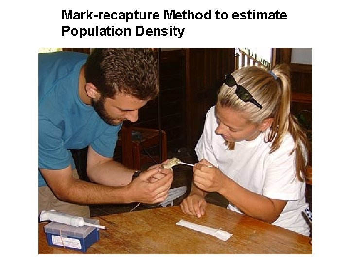 Mark-recapture Method to estimate Population Density 