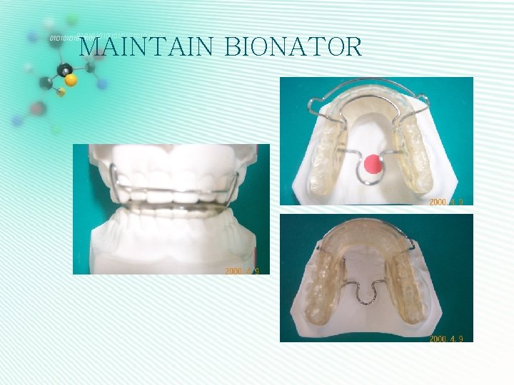MAINTAIN BIONATOR 