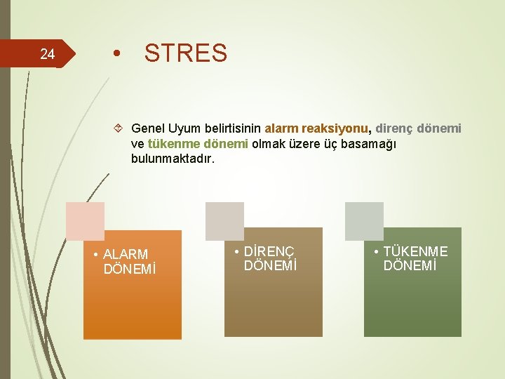 24 • STRES Genel Uyum belirtisinin alarm reaksiyonu, direnç dönemi ve tükenme dönemi olmak