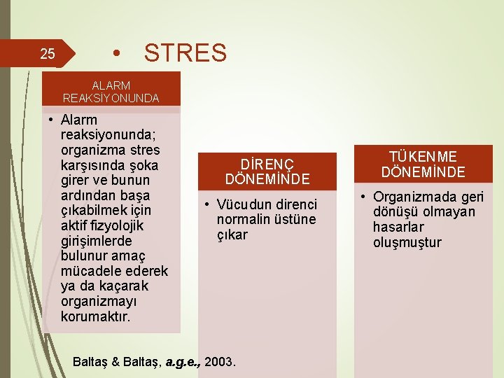 25 • STRES ALARM REAKSİYONUNDA • Alarm reaksiyonunda; organizma stres karşısında şoka girer ve
