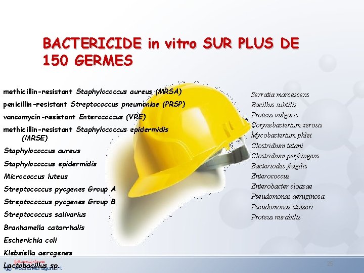 BACTERICIDE in vitro SUR PLUS DE 150 GERMES methicillin-resistant Staphylococcus aureus (MRSA) penicillin-resistant Streptococcus