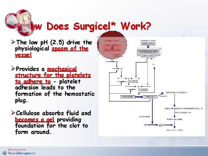 How Does Surgicel* Work? ØThe low p. H (2. 5) drive the physiological spasm