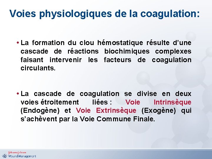 Voies physiologiques de la coagulation: • La formation du clou hémostatique résulte d’une cascade