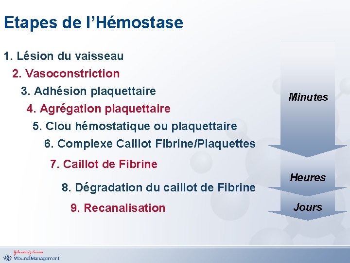 Etapes de l’Hémostase 1. Lésion du vaisseau 2. Vasoconstriction 3. Adhésion plaquettaire 4. Agrégation