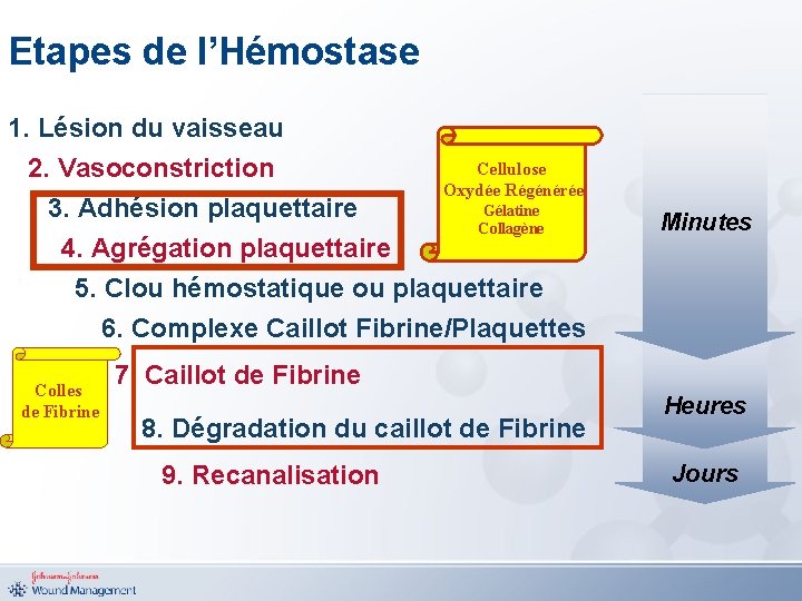 Etapes de l’Hémostase 1. Lésion du vaisseau Cellulose 2. Vasoconstriction Oxydée Régénérée Gélatine 3.