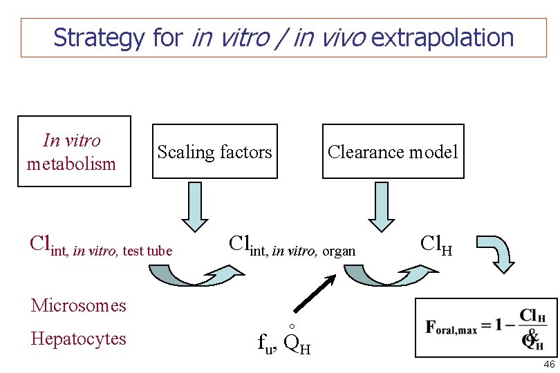 Strategy for in vitro / in vivo extrapolation Scaling factors Clint, in vitro, test