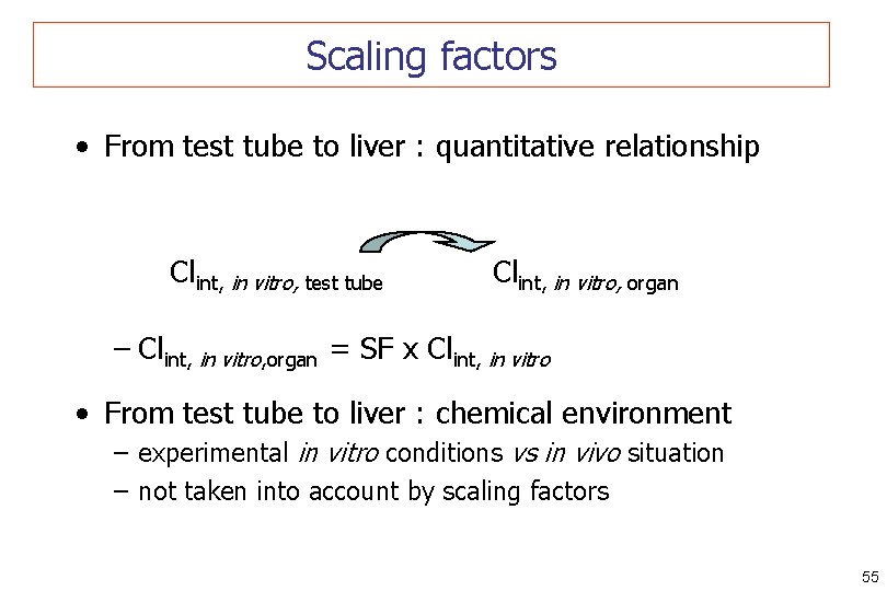 Scaling factors • From test tube to liver : quantitative relationship Clint, in vitro,