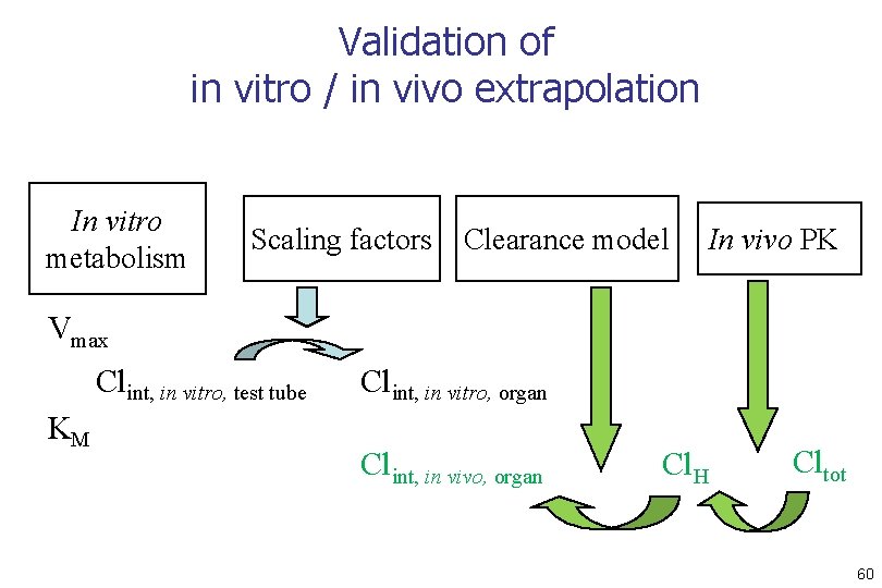 Validation of in vitro / in vivo extrapolation In vitro metabolism Scaling factors Clearance