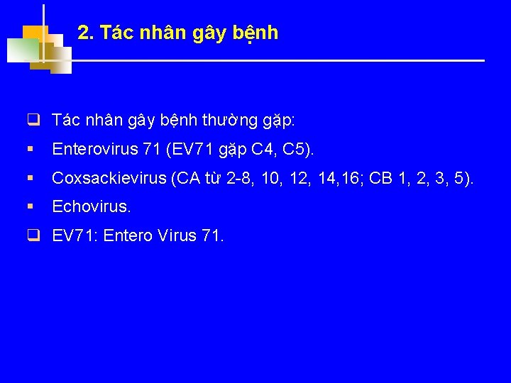 2. Tác nhân gây bệnh q Tác nhân gây bệnh thường gặp: § Enterovirus