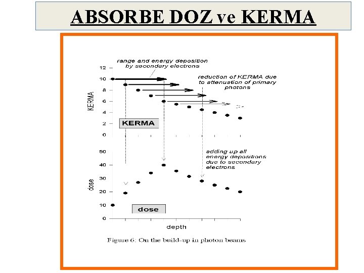 ABSORBE DOZ ve KERMA 