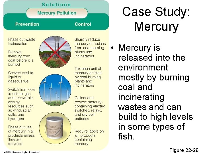 Case Study: Mercury • Mercury is released into the environment mostly by burning coal