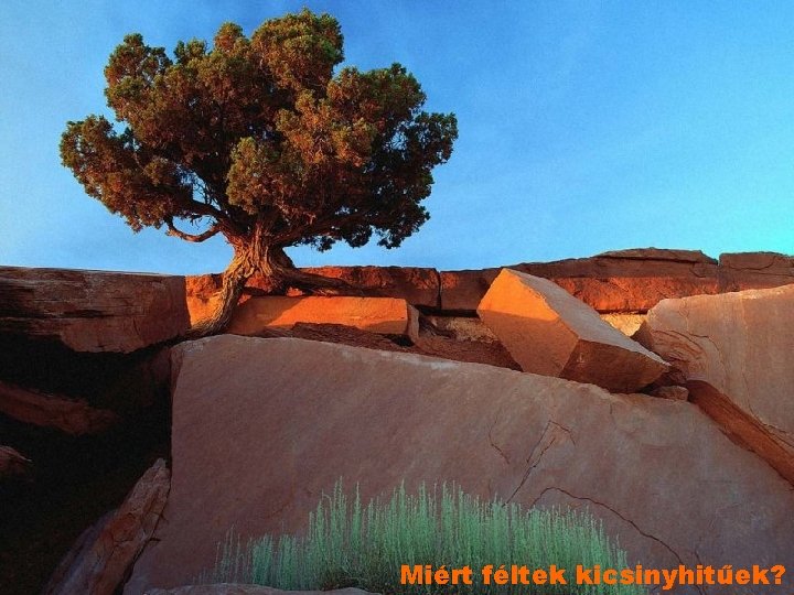 Miért féltek kicsinyhitűek? Miért féltek kicsinyhitűek?