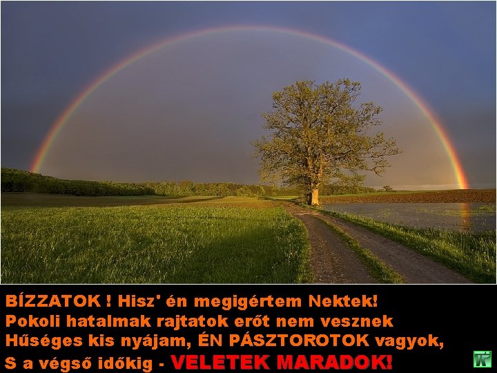 BÍZZATOK ! Hisz' én megigértem Nektek! Pokoli hatalmak rajtatok erőt nem vesznek Hűséges kis BÍZZATOK ! Hisz' én megigértem Nektek! Pokoli hatalmak rajtatok erőt nem vesznek Hűséges kis