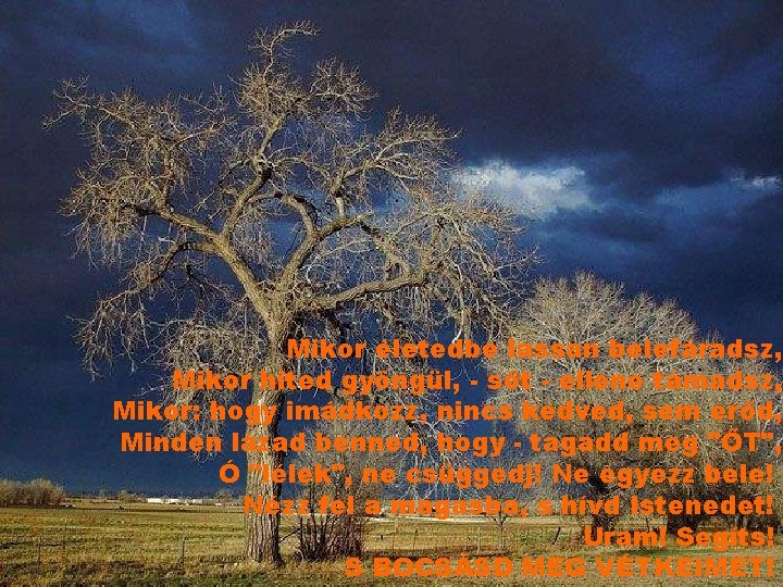 Mikor életedbe lassan belefáradsz, Mikor hited gyöngül, - sőt - ellene támadsz, Mikor: hogy Mikor életedbe lassan belefáradsz, Mikor hited gyöngül, - sőt - ellene támadsz, Mikor: hogy