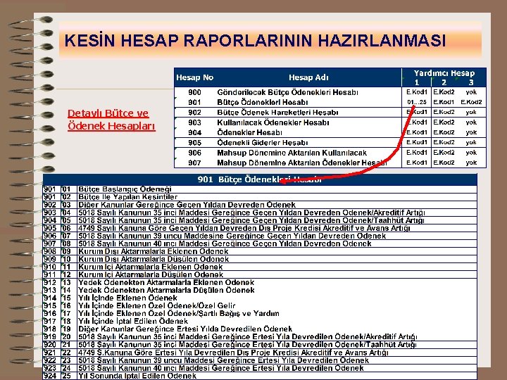 KESİN HESAP RAPORLARININ HAZIRLANMASI Detaylı Bütçe ve Ödenek Hesapları 