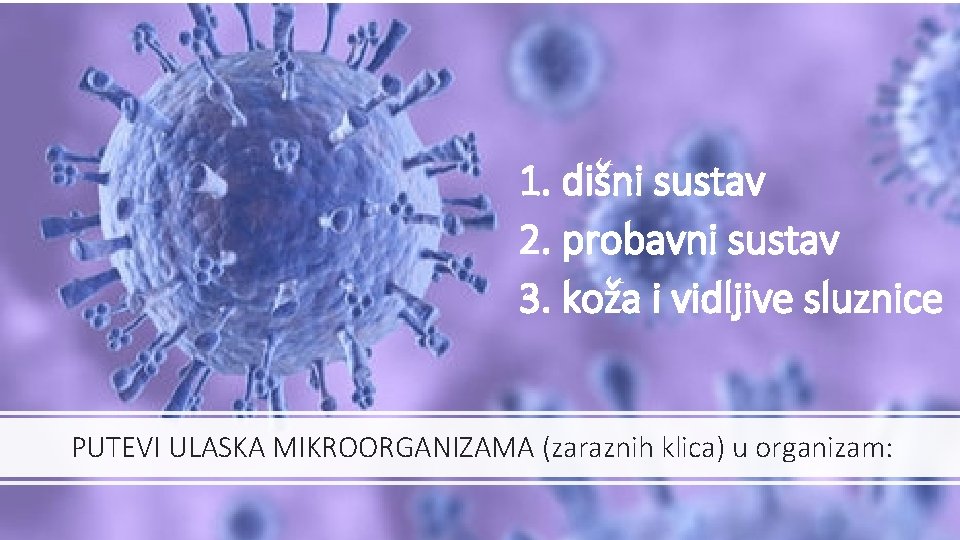 1. dišni sustav 2. probavni sustav 3. koža i vidljive sluznice PUTEVI ULASKA MIKROORGANIZAMA