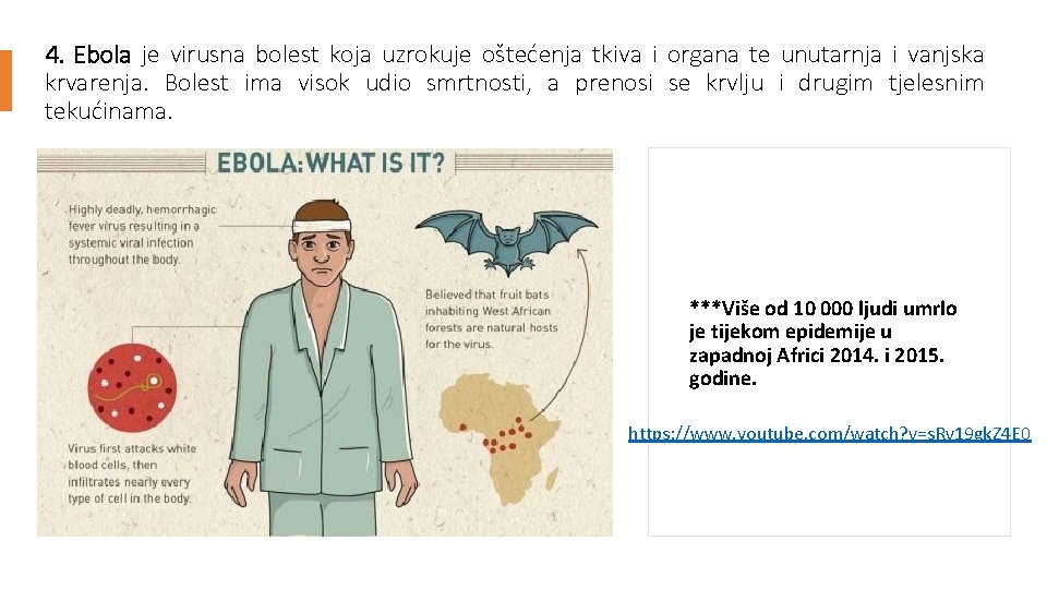 4. Ebola je virusna bolest koja uzrokuje oštećenja tkiva i organa te unutarnja i