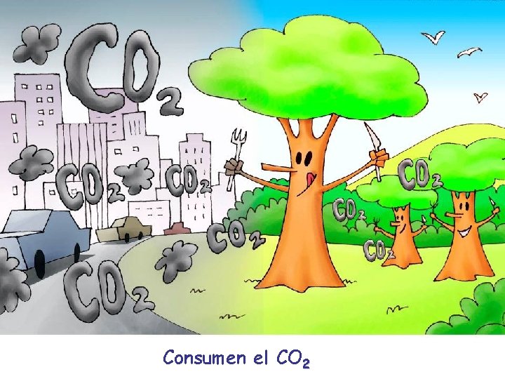 Consumen el CO 2 