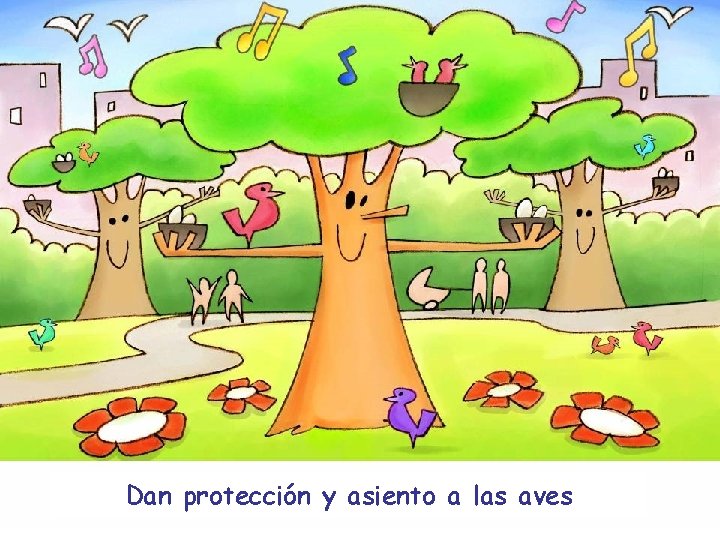 Dan protección y asiento a las aves 