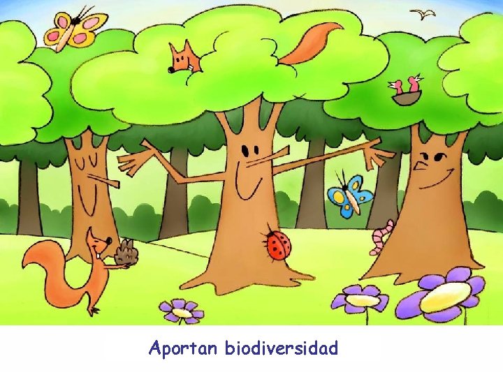 Aportan biodiversidad 