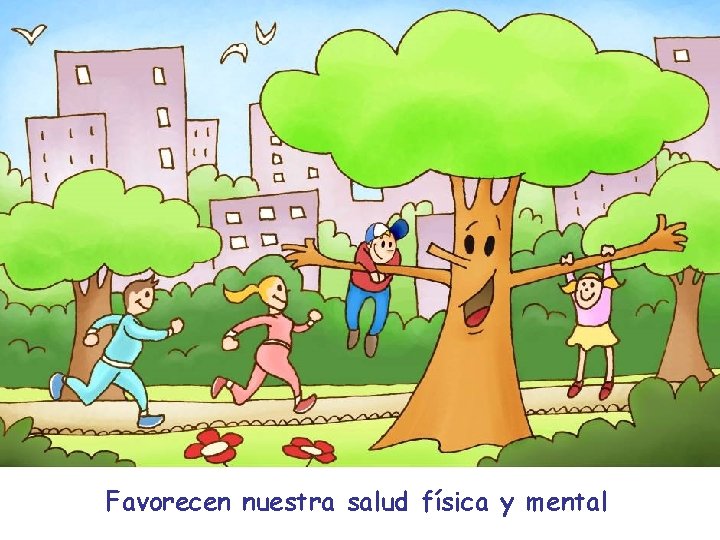 Favorecen nuestra salud física y mental 