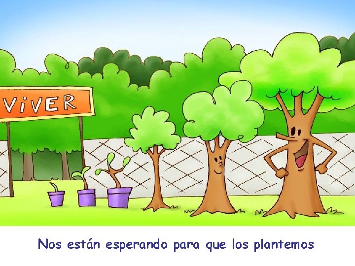 Nos están esperando para que los plantemos 
