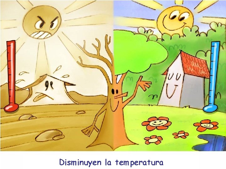 Disminuyen la temperatura 